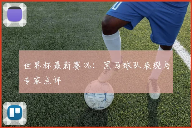 世界杯最新赛况：黑马球队表现与专家点评