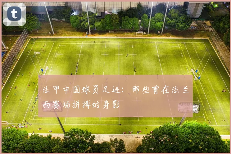 法甲中国球员足迹：那些曾在法兰西赛场拼搏的身影