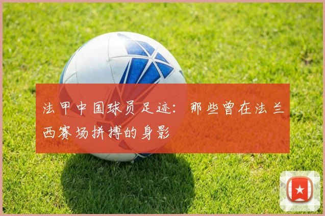 法甲中国球员足迹：那些曾在法兰西赛场拼搏的身影